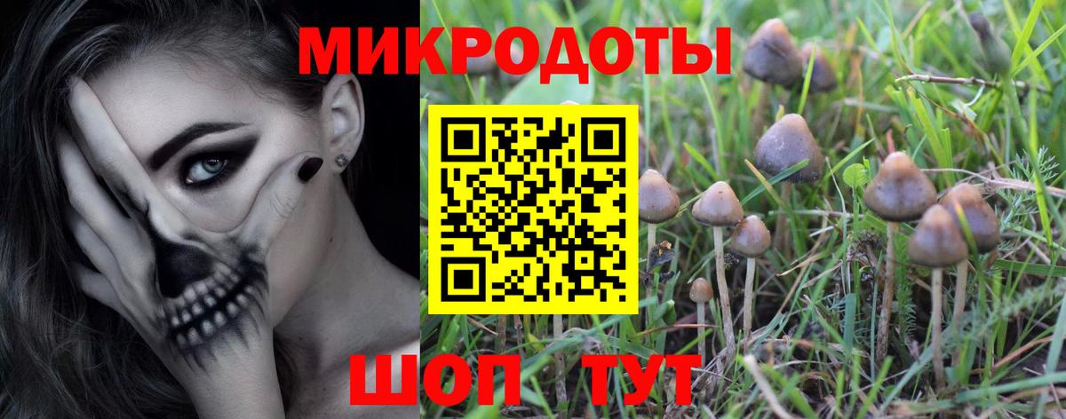Псилоцибиновые грибы Psilocybine cubensis  Псилоцибиновые грибы ЛСД  Зеленодольск  Вход с VPN 