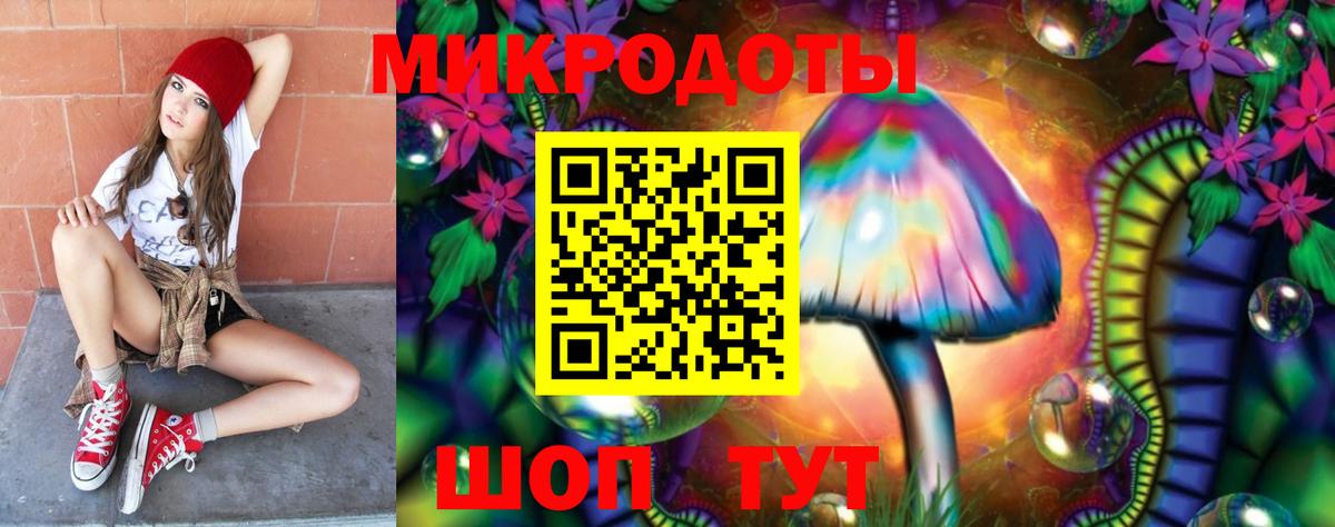 Псилоцибиновые грибы Psilocybine cubensis Зеленодольск